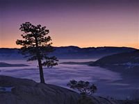 pic for  Donner Lake at Sunset California